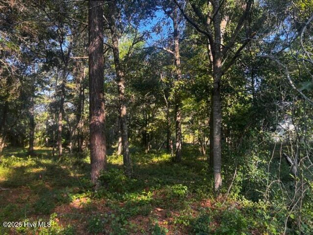 Photo of 2425 Sunset Harbor Road SE, Bolivia, NC 28422 (MLS # 100583475)