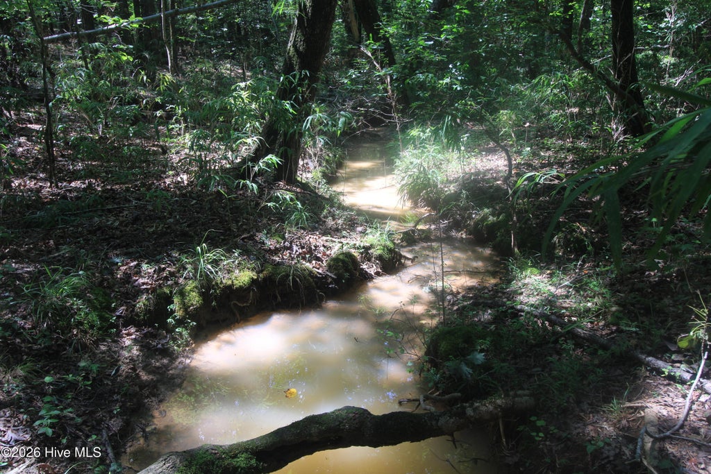 Photo of 0 Crowatan Trail, Carthage, NC 28327 (MLS # 100592058)