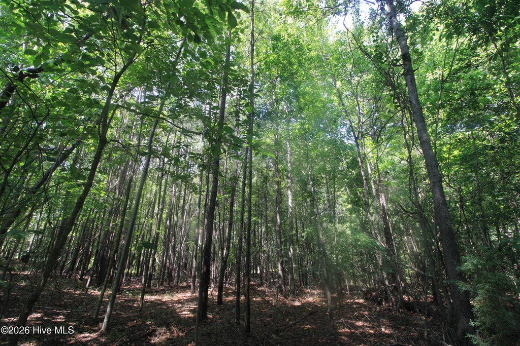 Photo of 0 Crowatan Trail, Carthage, NC 28327 (MLS # 100592058)