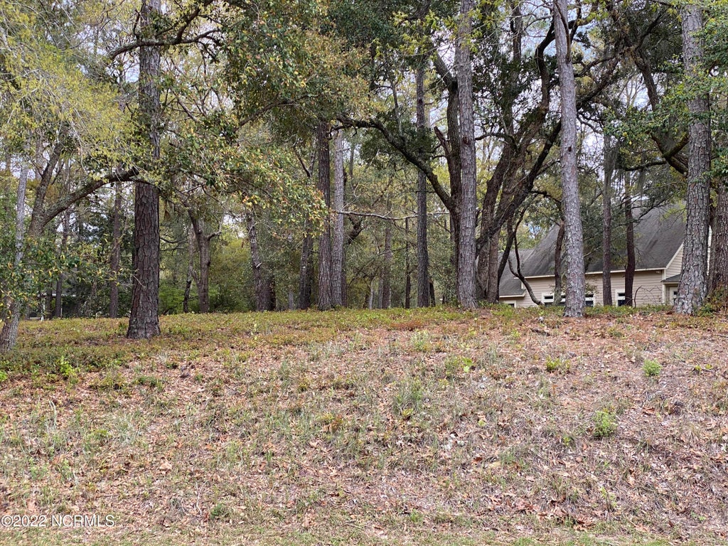 Photo of 3234 Island Drive SE, Bolivia, NC 28422 (MLS # 100613187)