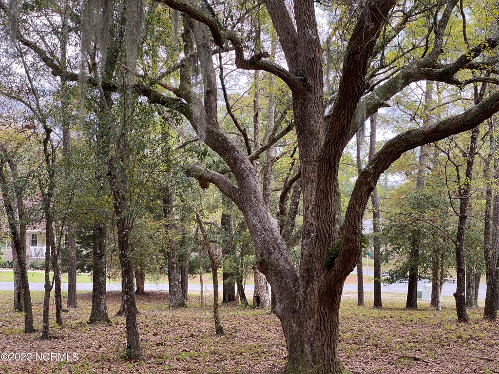 Photo of 3234 Island Drive SE, Bolivia, NC 28422 (MLS # 100613187)