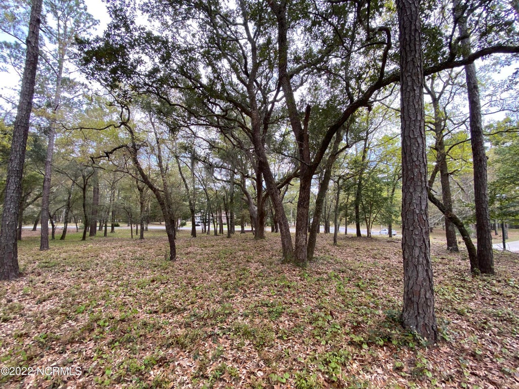 Photo of 3234 Island Drive SE, Bolivia, NC 28422 (MLS # 100613187)