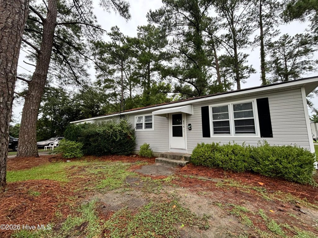 Photo of 42 Sophia Drive, Jacksonville, NC 28540 (MLS # 100557664)