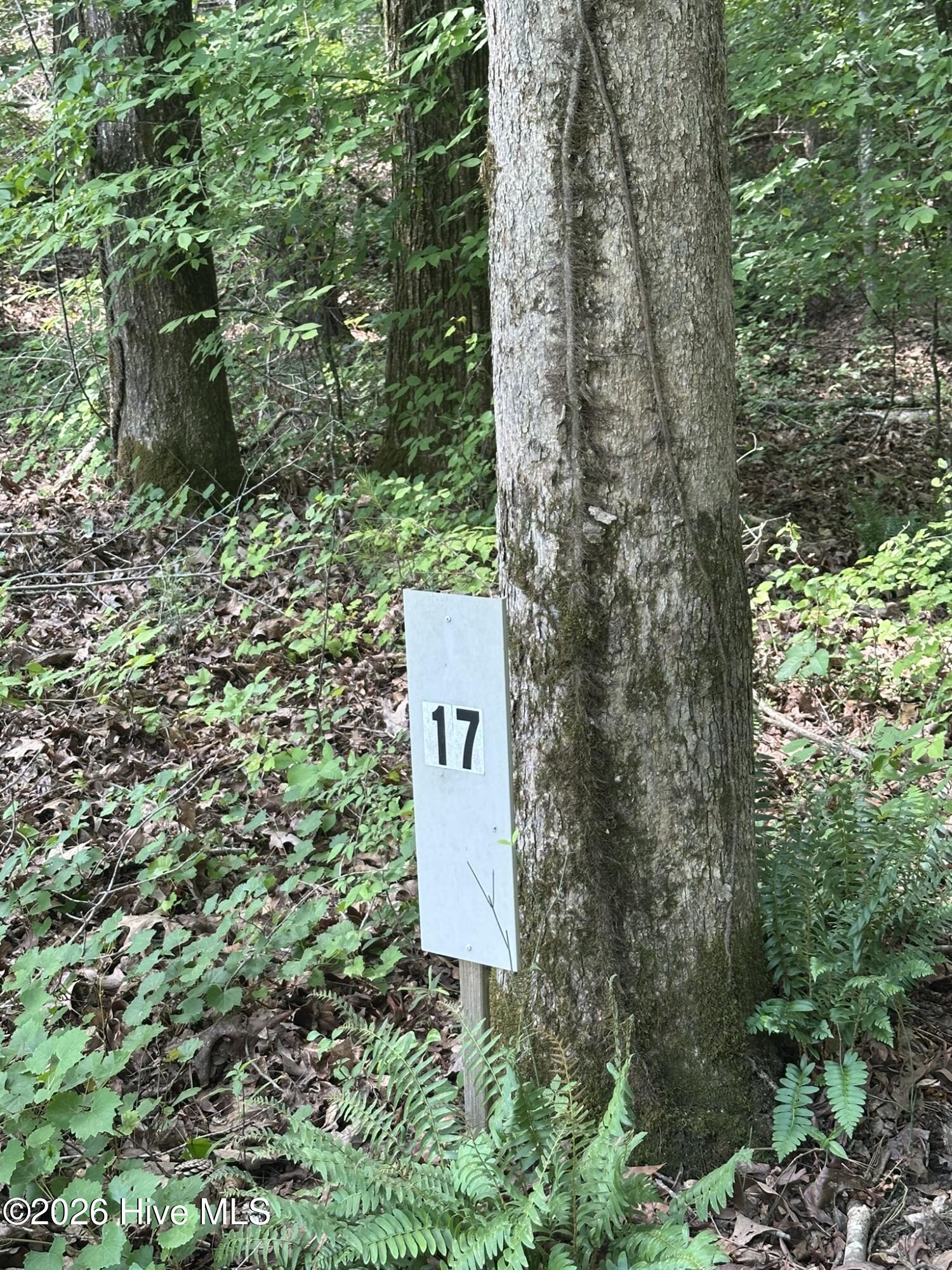 Lot 17 Lakeshore Estates Drive