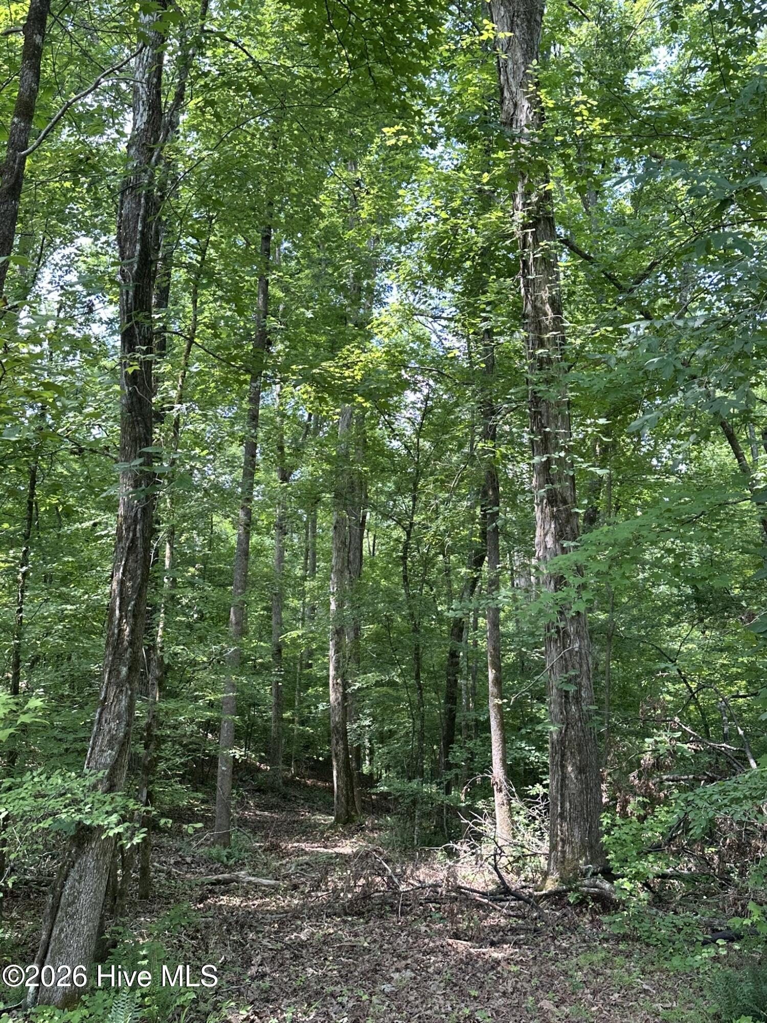 Lot 17 Lakeshore Estates Drive
