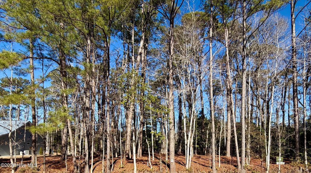 Photo of 91 Northeast Drive NW, Calabash, NC 28467 (MLS # 100554297)