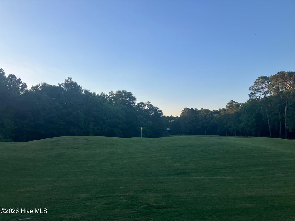 Photo of 112 Riverstone Run Drive, Wallace, NC 28466 (MLS # 100581626)