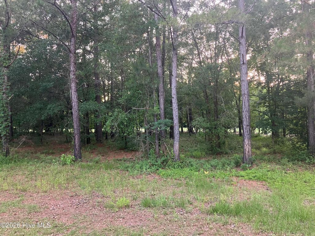 Photo of 112 Riverstone Run Drive, Wallace, NC 28466 (MLS # 100581626)