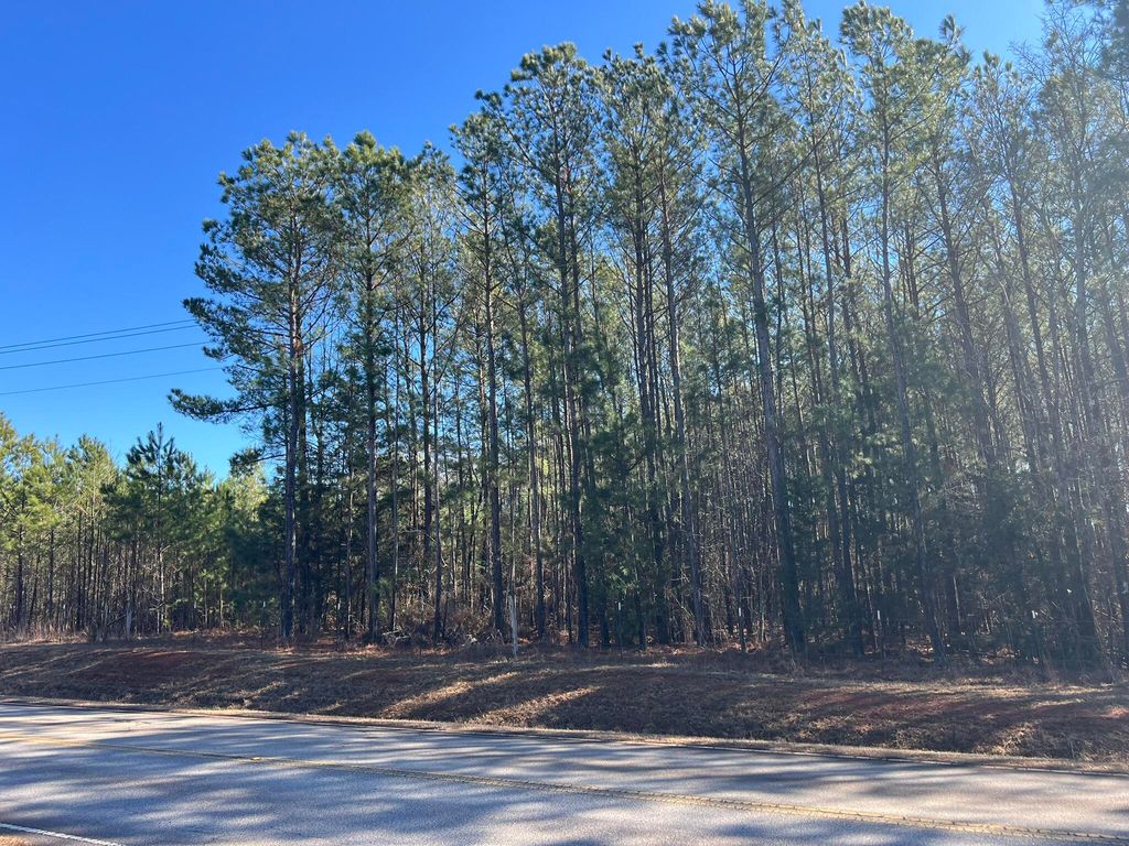 Photo of 0 Highway 179, Plum Branch, SC 29845 (MLS # 551432)