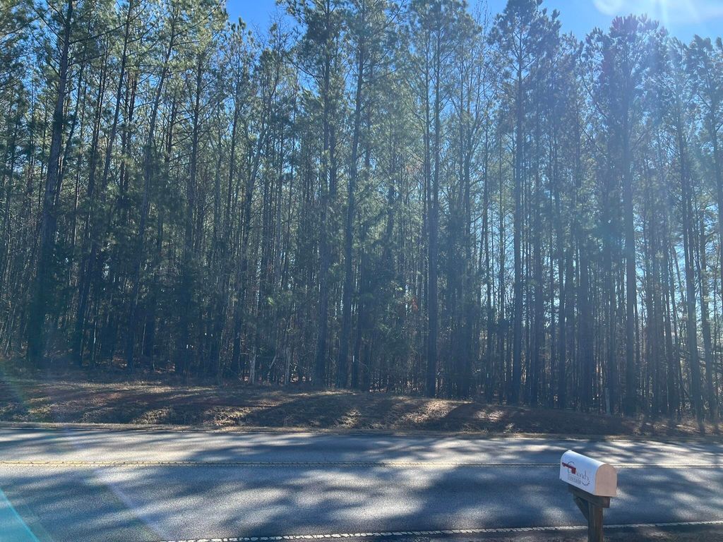 Photo of 0 Highway 179, Plum Branch, SC 29845 (MLS # 551432)