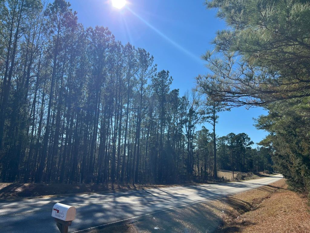 Photo of 0 Highway 179, Plum Branch, SC 29845 (MLS # 551432)
