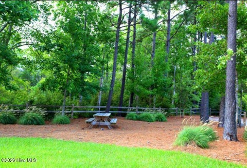 Tiny photo for 186 Snow Goose Lane, Sneads Ferry, NC 28460 (MLS # 100606035)