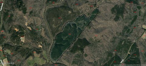 Vacant Land For Sale - TBD Ophir Road<br/> Troy, NC 27371