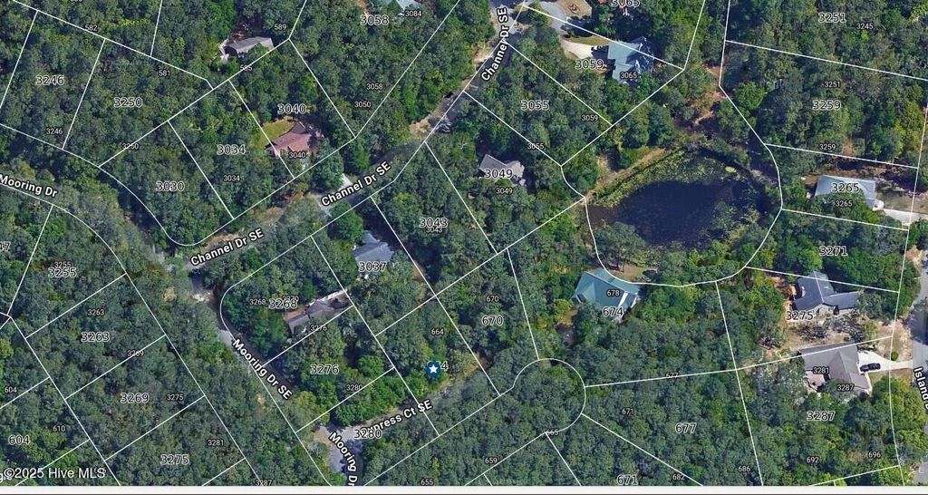 Photo of 664 Cypress Grove Court SE, Bolivia, NC 28422 (MLS # 100542938)