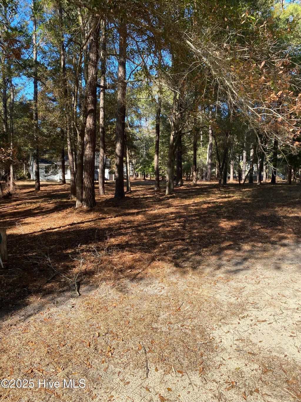 Photo of 664 Cypress Grove Court SE, Bolivia, NC 28422 (MLS # 100542938)