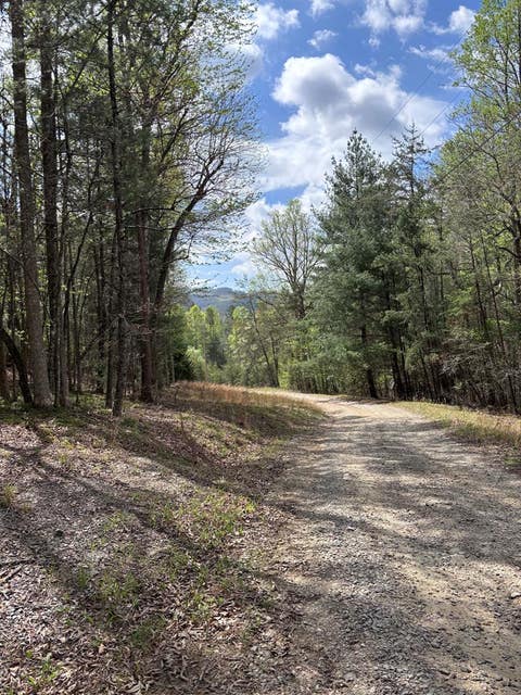 Vacant Land For Sale - 140 Hounds Run Lane<br/> Murphy, NC 28906