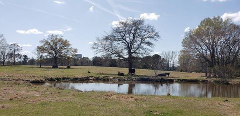 716 Augusta Road Edgefield SC 29824