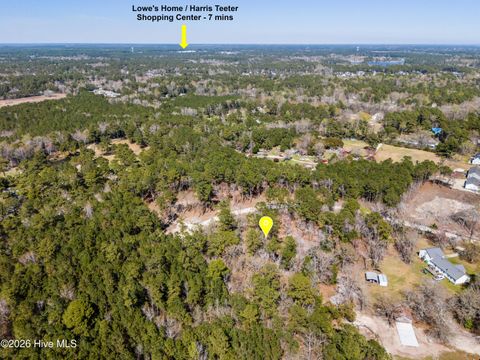 Tiny photo for 3 Crystal Court, Hampstead, NC 28443 (MLS # 100562134)