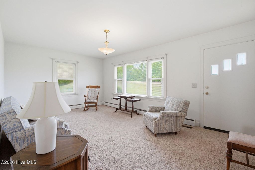 Photo of 7302 Cabin Branch Road, Stantonsburg, NC 27883 (MLS # 100571438)