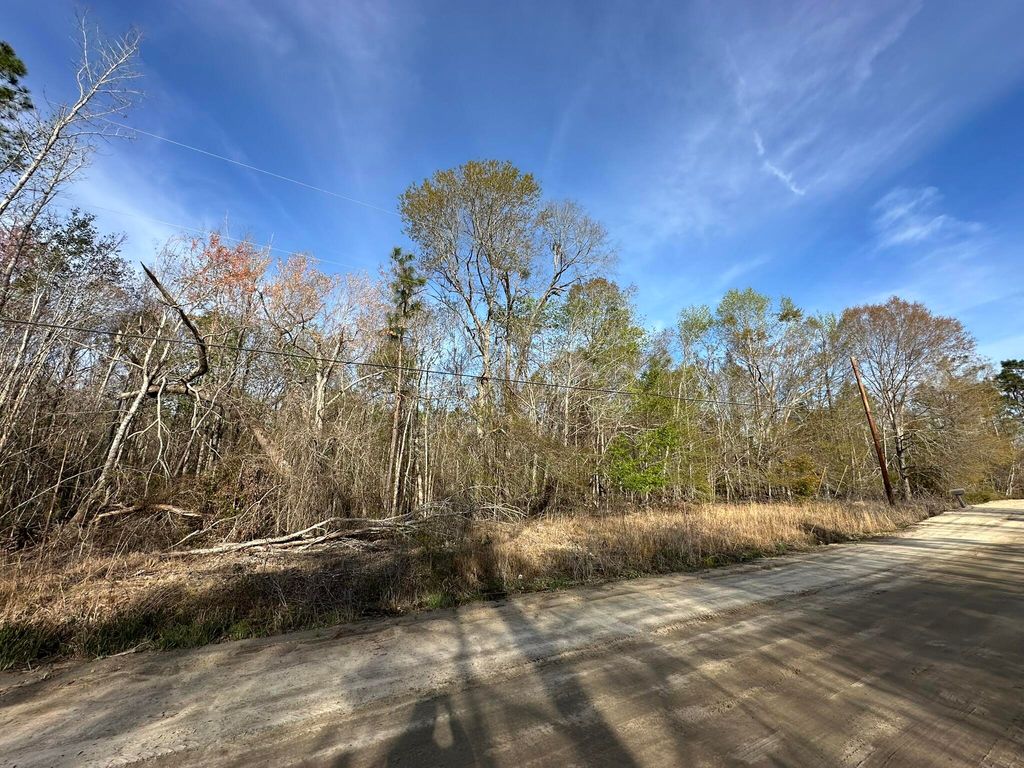 Photo of 12 Robin Boulevard, Swainsboro, GA 30401 (MLS # 555078)