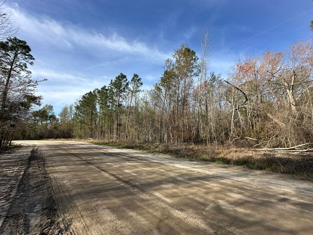 Photo of 12 Robin Boulevard, Swainsboro, GA 30401 (MLS # 555078)