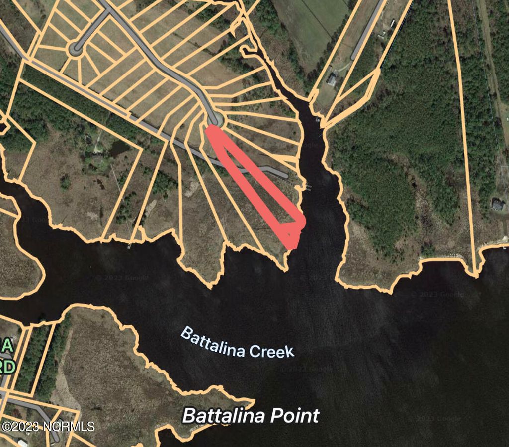 Photo of 348 Battalina Lane, Belhaven, NC 27810 (MLS # 100545819)