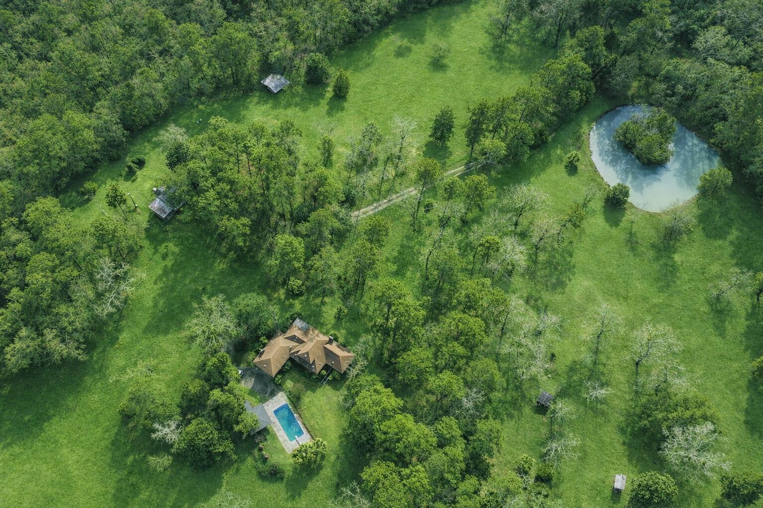 1164 Arbutus Hills Drive