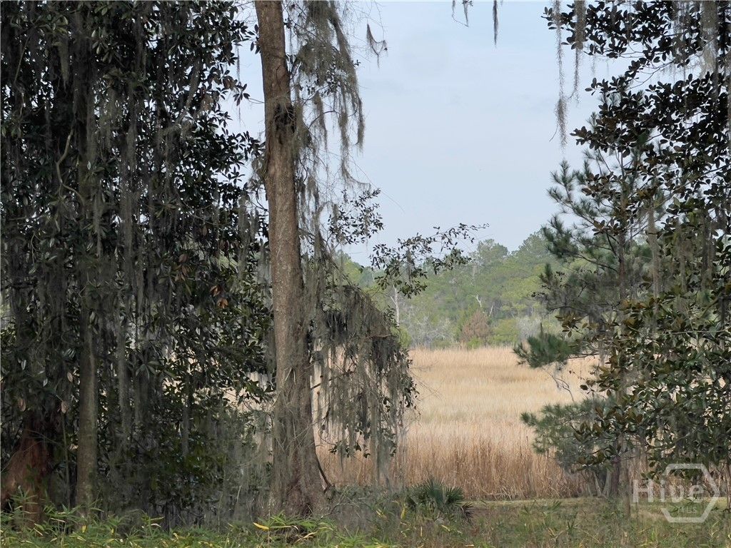 Photo of 121 Salt Creek Road, Savannah, GA 31405 (MLS # SA346418)