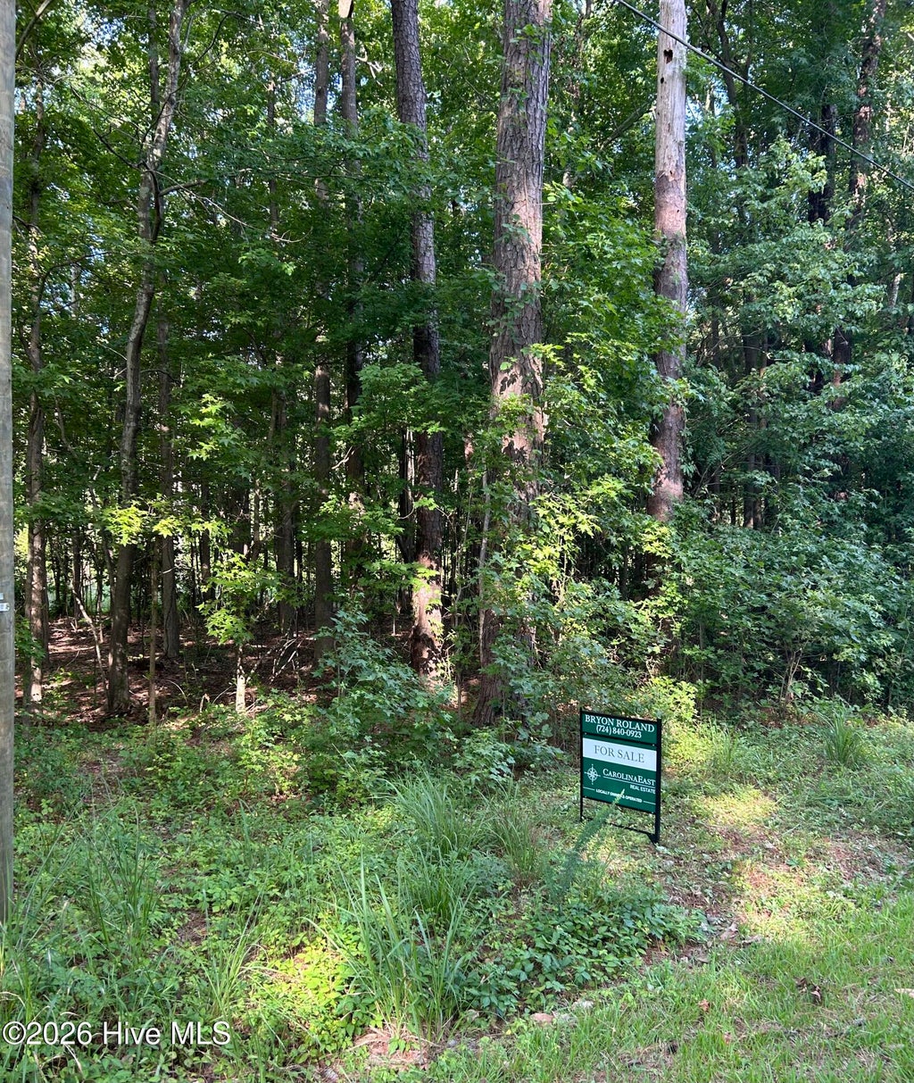 Photo of 421 Coral Lane, Edenton, NC 27932 (MLS # 100583400)