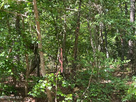 Vacant Land For Sale - 747 Sandspur Drive<br/> Vass, NC 28394