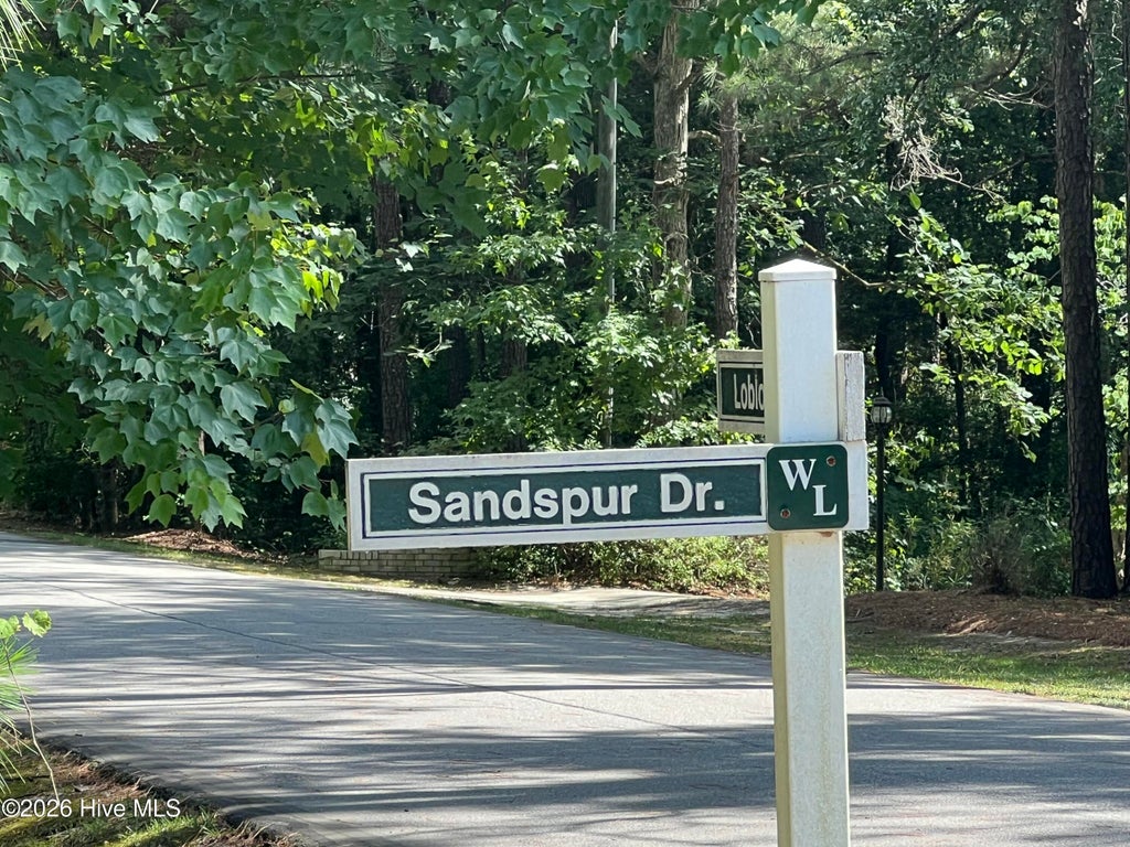 Photo of 747 Sandspur Drive, Vass, NC 28394 (MLS # 100581678)