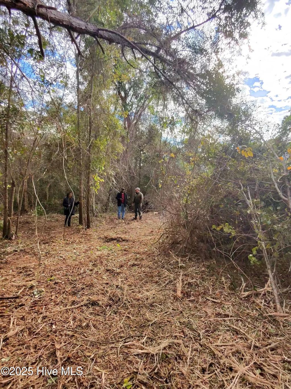 Photo of 20808 Us Highway 17, Hampstead, NC 28443 (MLS # 100541466)