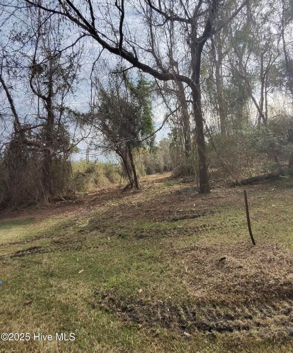 Photo of 20808 Us Highway 17, Hampstead, NC 28443 (MLS # 100541466)