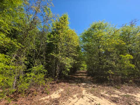 Vacant Land For Sale - LOT 1 Briarwood Drive<br/> Barnwell County, Williston, SC 29853