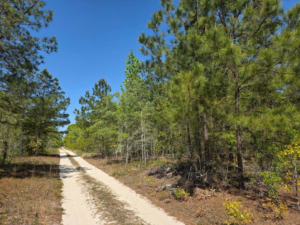 Photo of 1 Briarwood Drive, Williston, SC 29853 (MLS # 98256081)