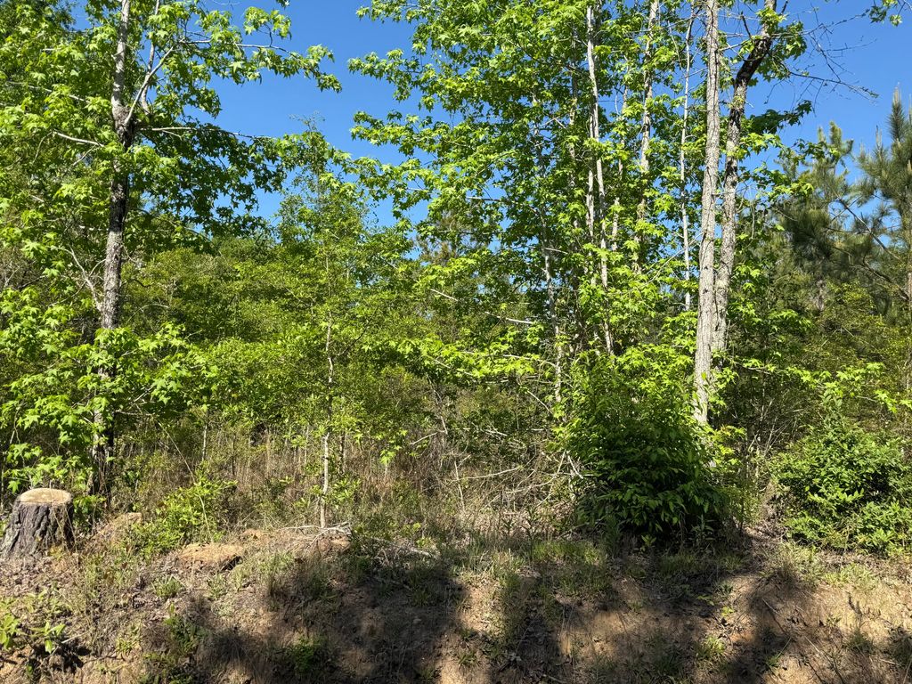 Photo of 8087 Sandhill Road, Mitchell, GA 30820 (MLS # 554661)