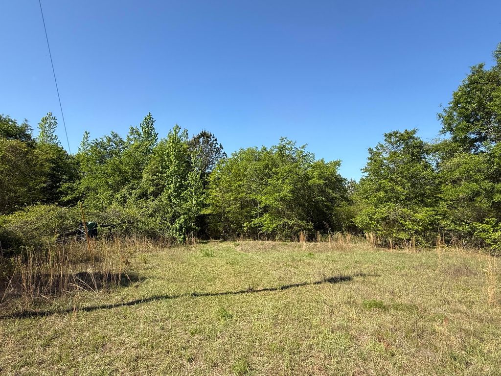 Photo of 8087 Sandhill Road, Mitchell, GA 30820 (MLS # 554661)