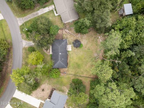 Tiny photo for 233 Buff Circle, Wilmington, NC 28411 (MLS # 100587548)