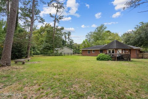 Tiny photo for 233 Buff Circle, Wilmington, NC 28411 (MLS # 100587548)
