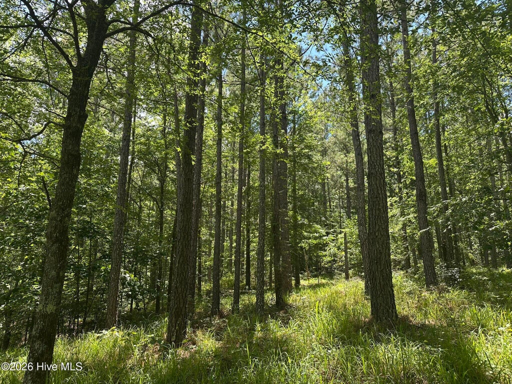 Photo of 29 Honeysuckle Trail, Lincolnton, GA 30817 (MLS # 100578506)