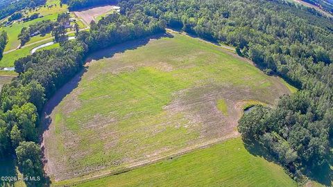 Vacant Land For Sale - LOT 3 Near 2151 Dolph Lewi Road<br/> Cerro Gordo, NC 28430