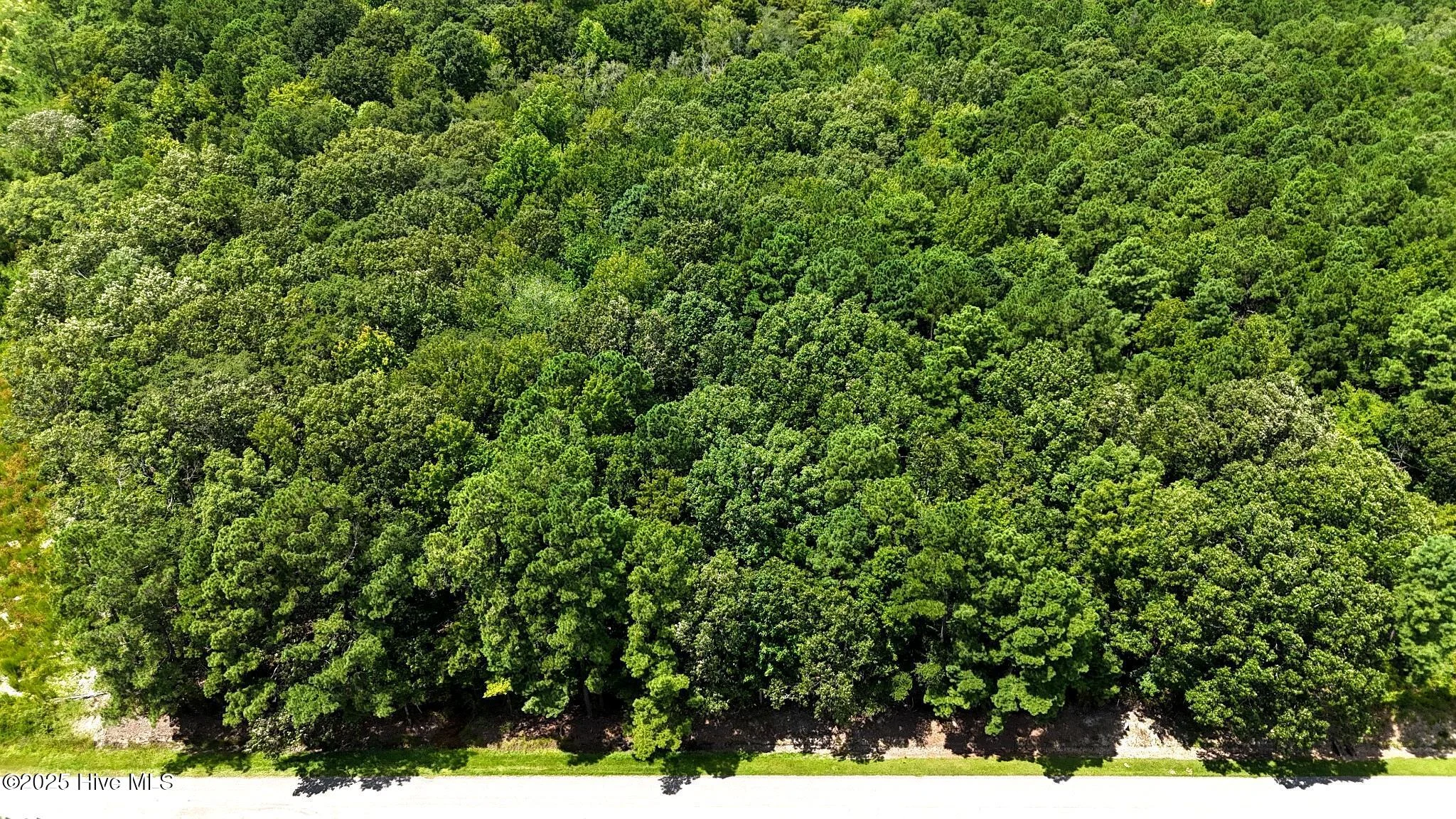 Tbd Boat Ramp Road, New Hope, NC, 27944