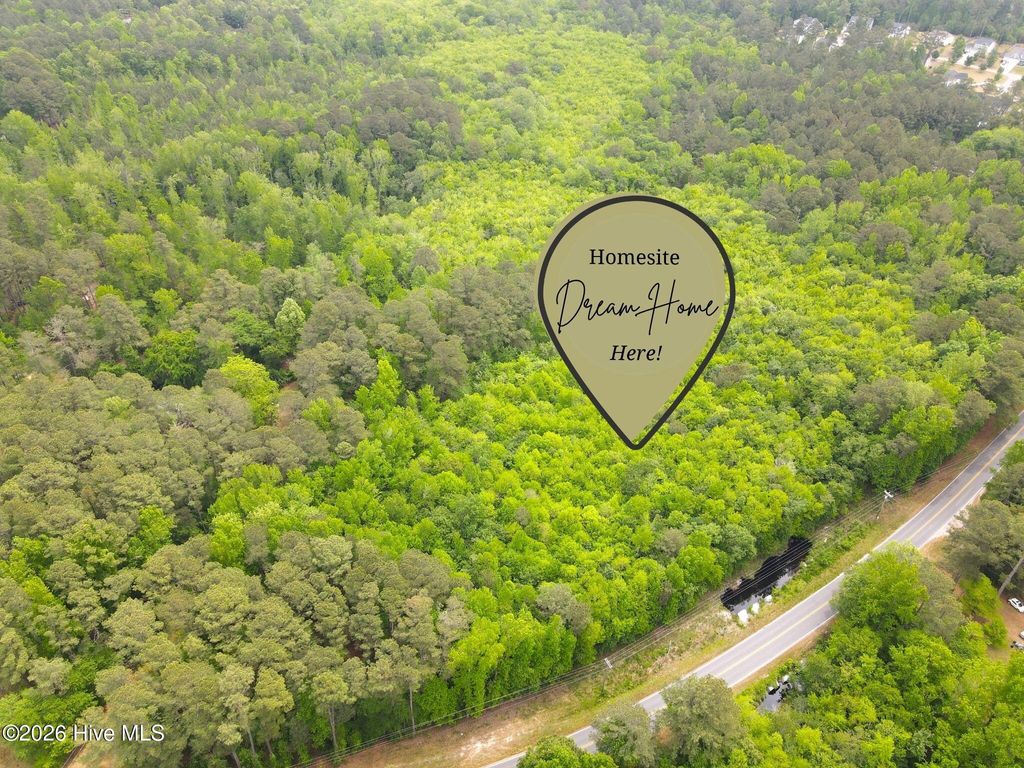 Photo of Tbd Murdocksville Road, West End, NC 27376 (MLS # 100571624)