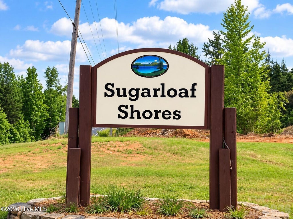 Photo of 236 Sugar Loaf Drive, Troy, NC 27371 (MLS # 100607278)