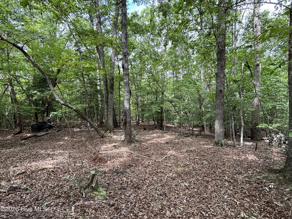 Photo of 236 Sugar Loaf Drive, Troy, NC 27371 (MLS # 100607278)