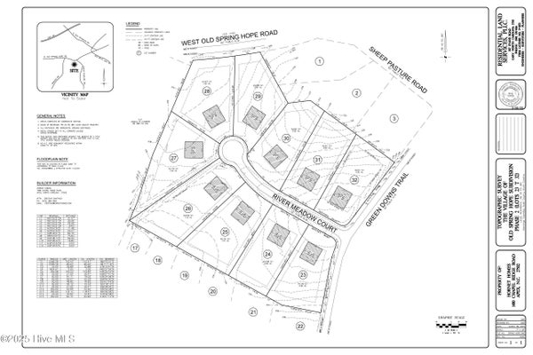 2785 RIVER MEADOW CT, SPRING HOPE, NC 27882 - Image 6f863b5ab0f9d9c2822decdfd0a4610d/3515627873