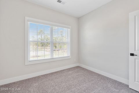 Tiny photo for 146 S Umbrella Palm Drive, Hampstead, NC 28443 (MLS # 100571985)
