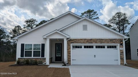 Photo of 146 S Umbrella Palm Drive, Hampstead, NC 28443 (MLS # 100571985)