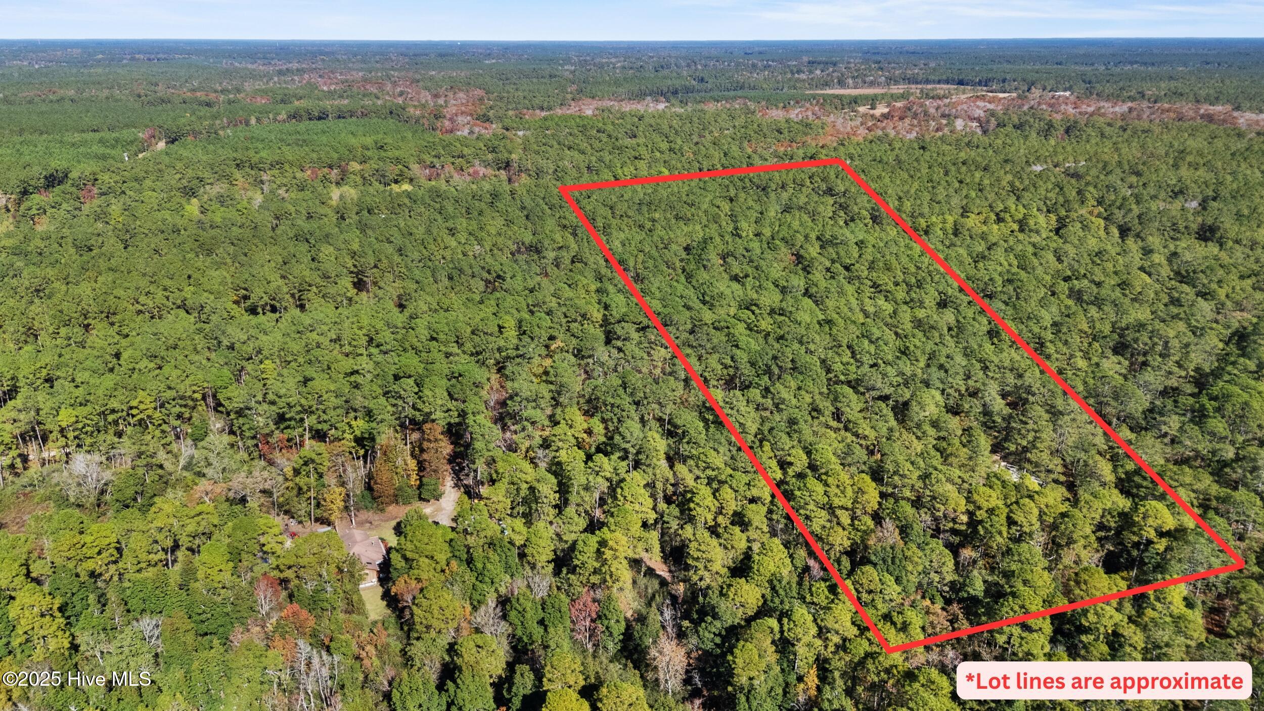 Currie, North Carolina 28435, United States, ,Land,Pending,255834