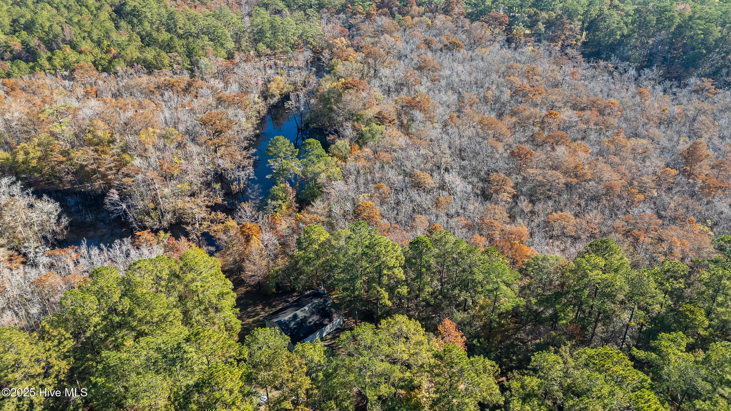 Currie, North Carolina 28435, United States, ,Land,Pending,255834